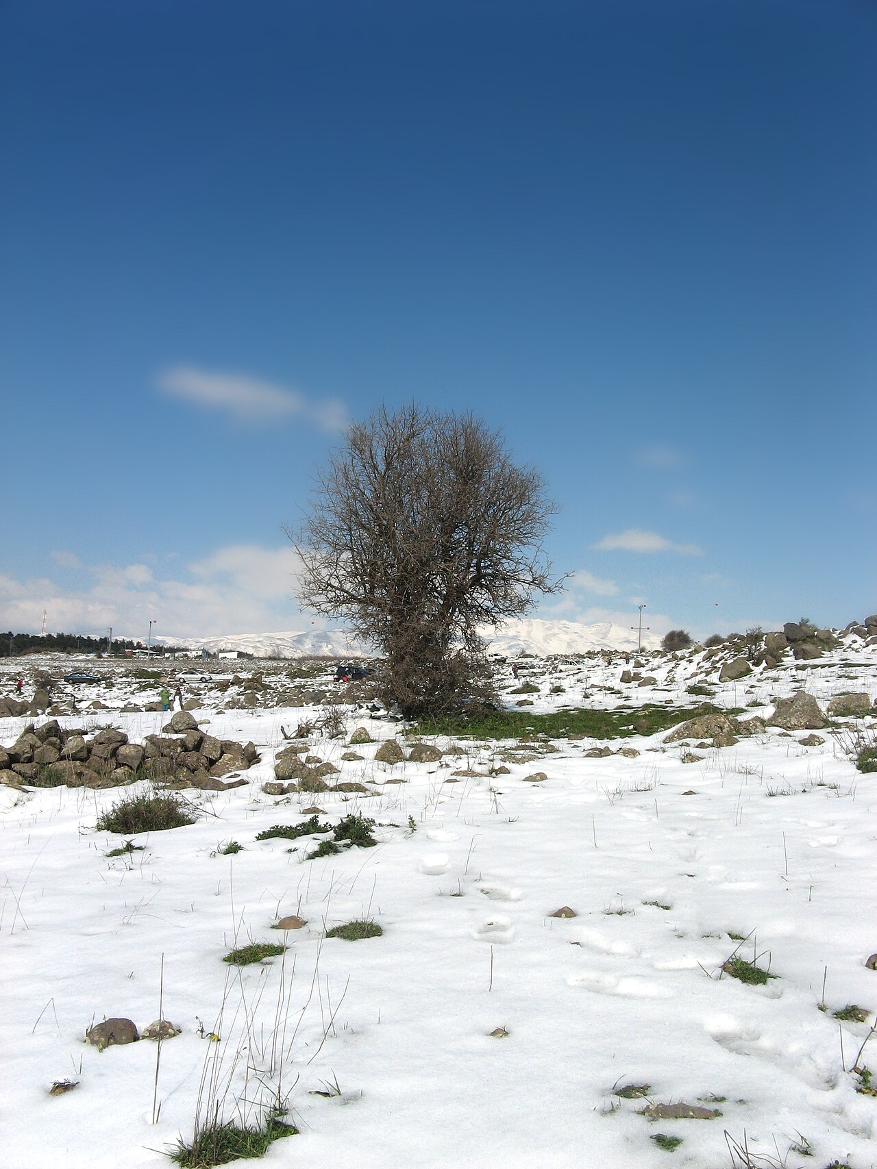 Snow-covered ground with the Mount Hermon range in the distance